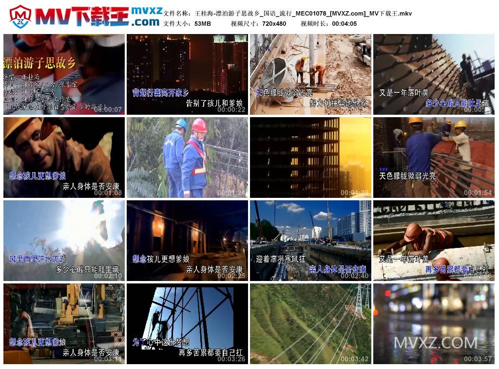 王桂海-漂泊游子思故乡_国语_流行_MEC01078